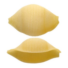 CONCHIGLIONI 147 RUMMO LENTA LAV. GR.500